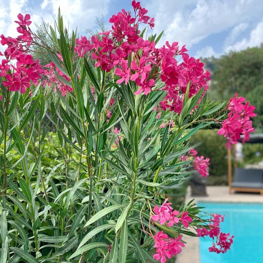 Bastide Aina Et Piscine Homestay *