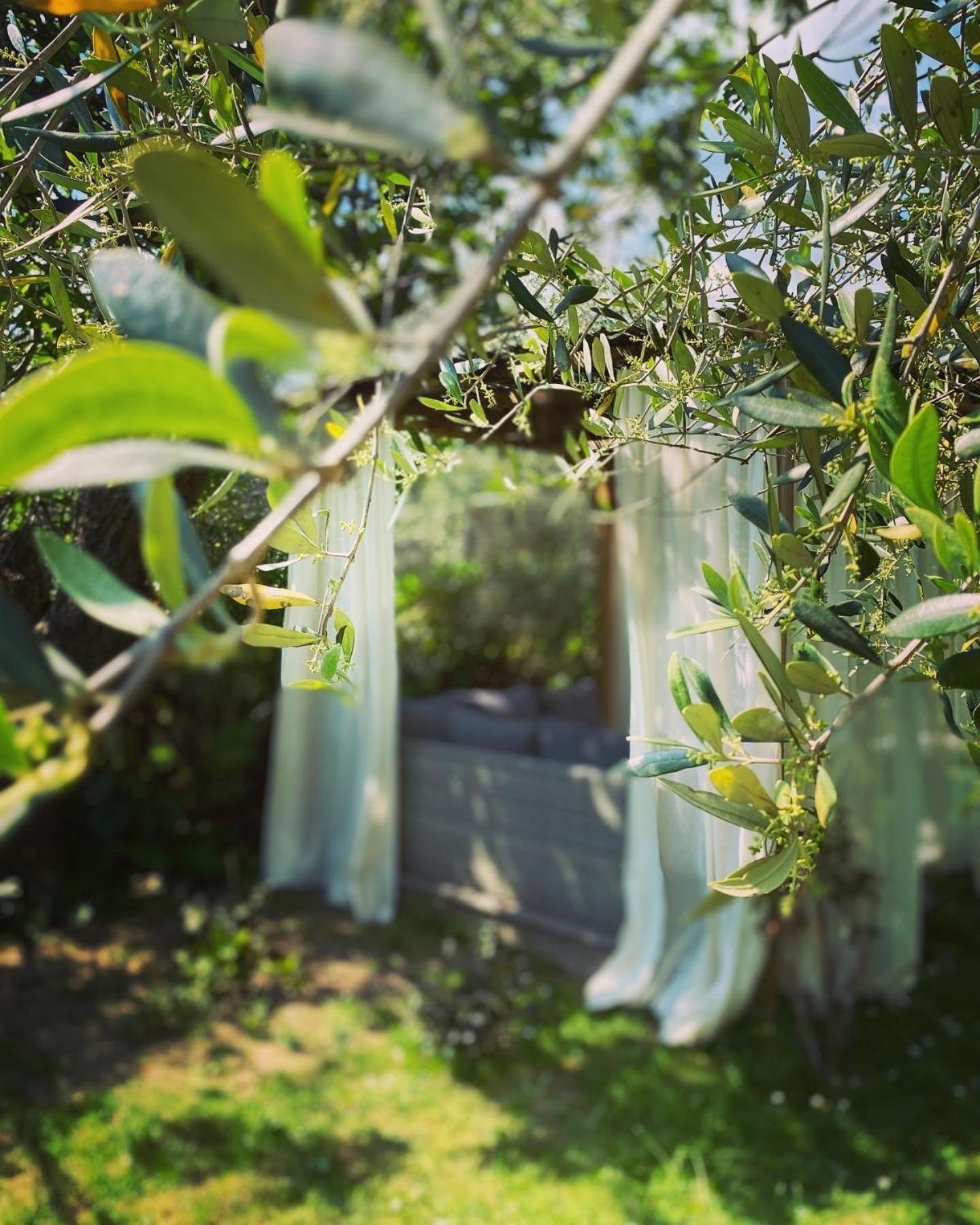 Homestay Bastide Aina Et Piscine *